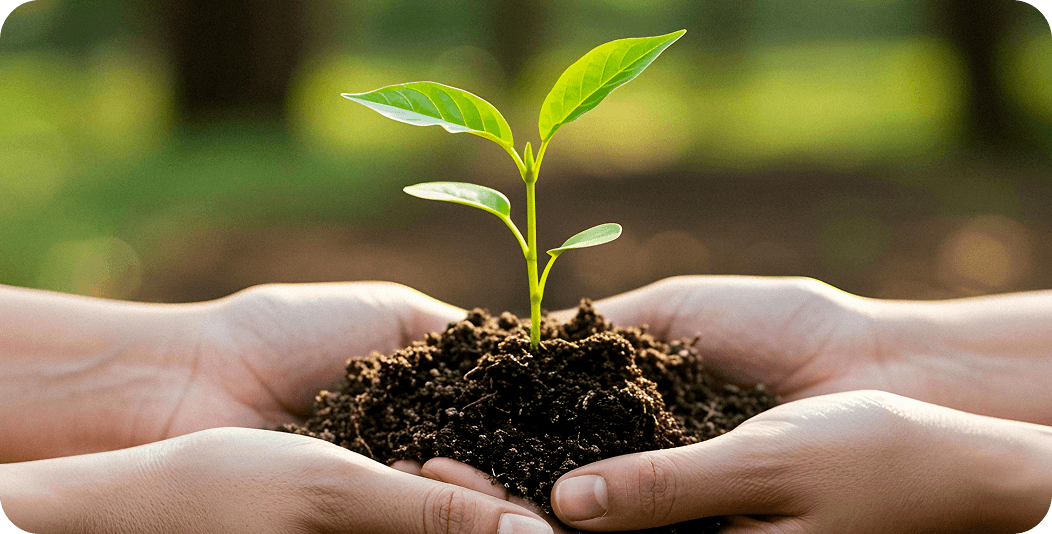 Aspectos ambientais, trabalhistas e compliance no agronegócio