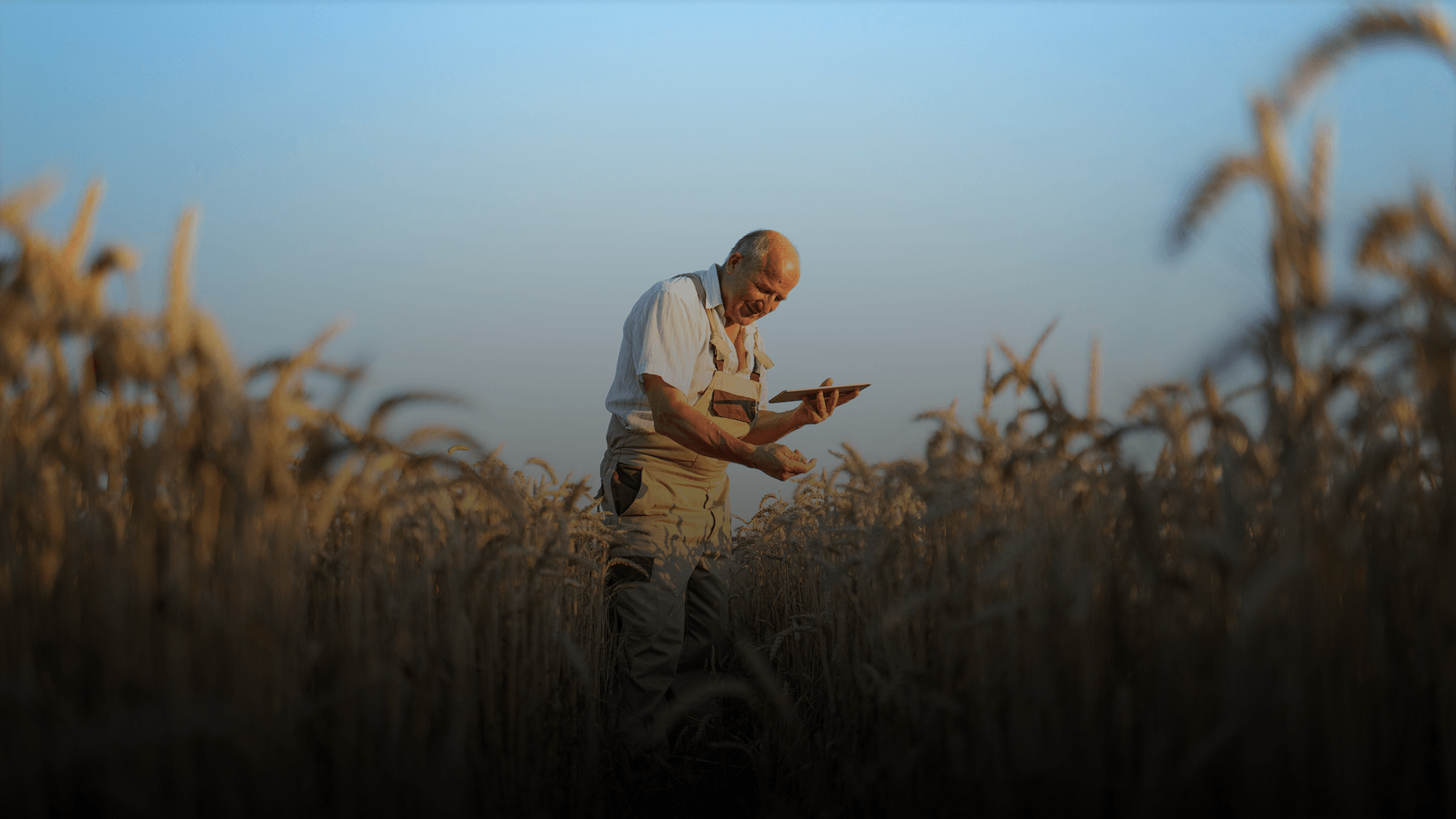 em Direito Agrário e do Agronegócio